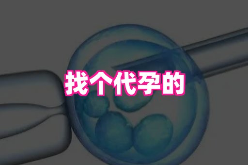 安徽助孕网 2