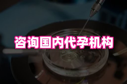 安徽助孕网 3